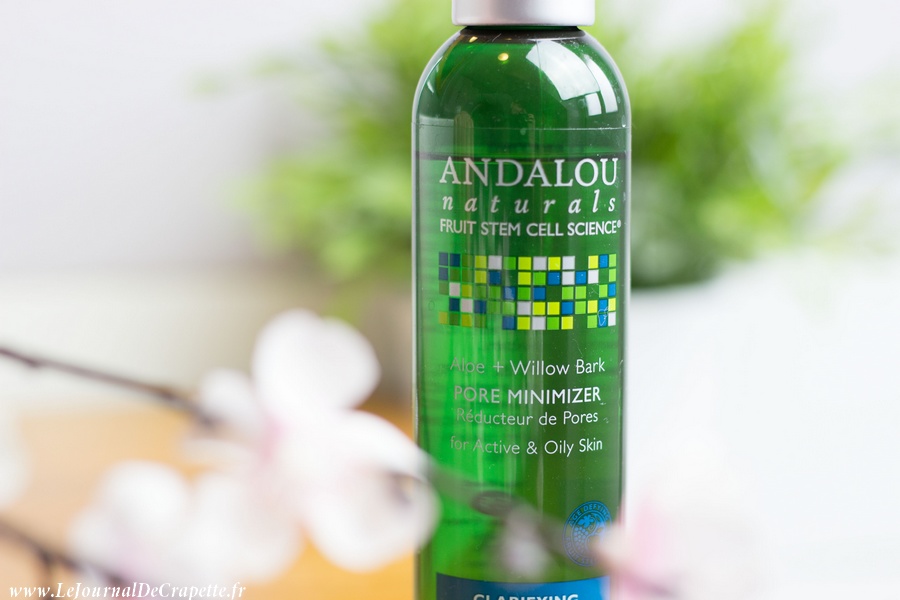 andalou-naturals-pore-minimizer