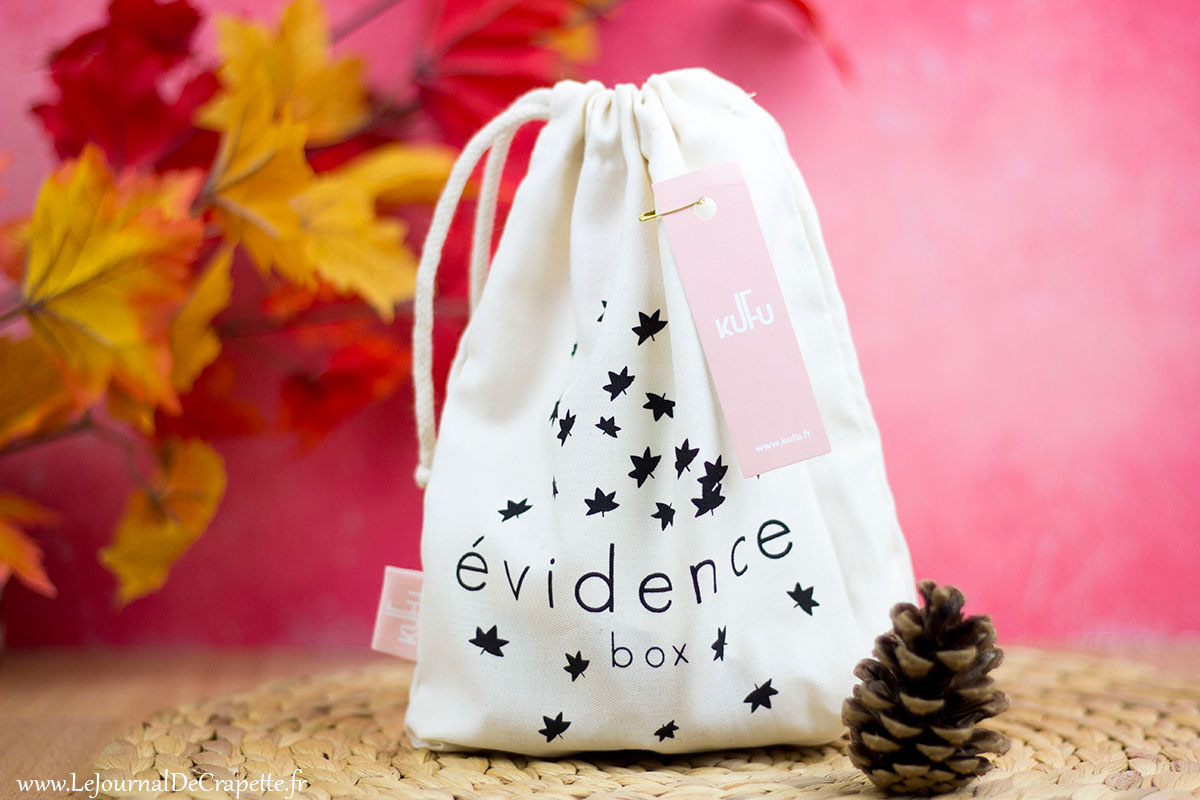 evidence-box-novembre-2017