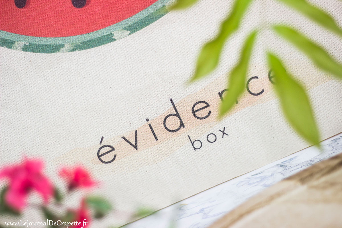 box-evidence-juillet-2018-avis