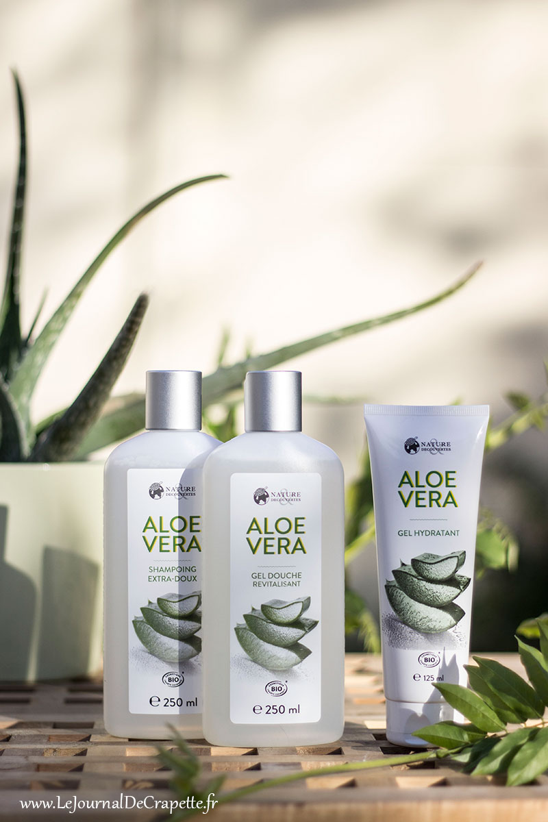 aloe vera nature et decouvertes