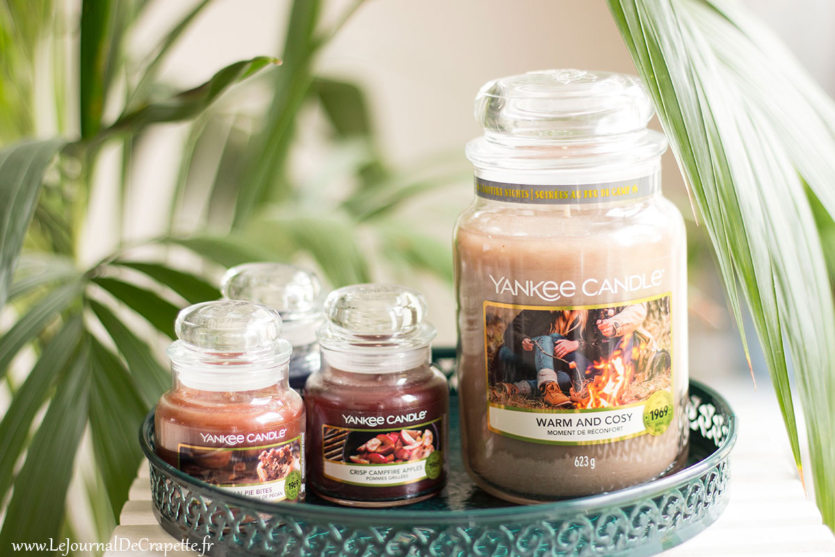 campfire night collection bougie yankee candle automne